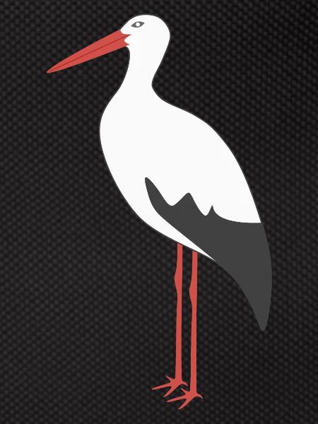 White Stork