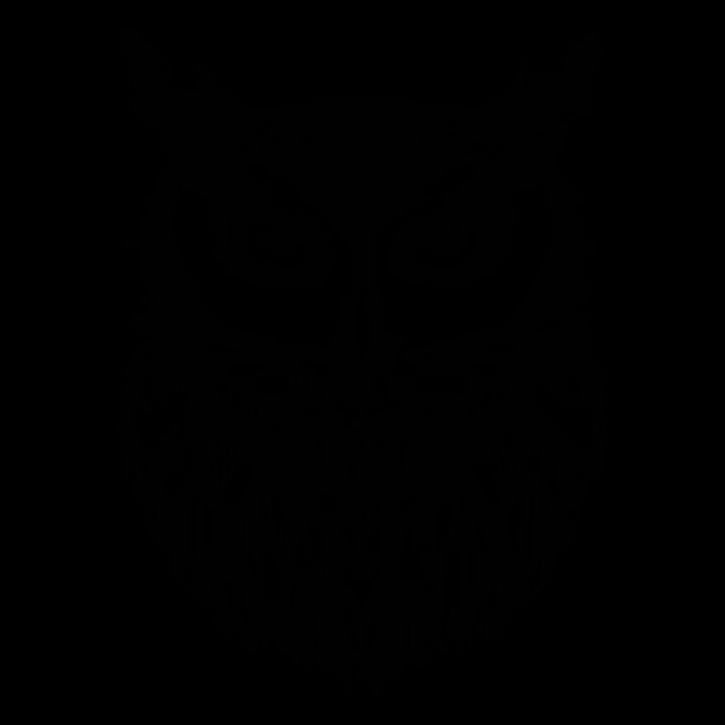 Eule Eulen Vogel Vögel