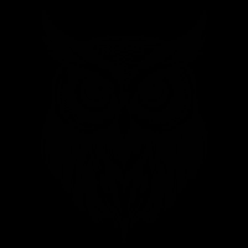 Eule Eulen Vogel Vögel