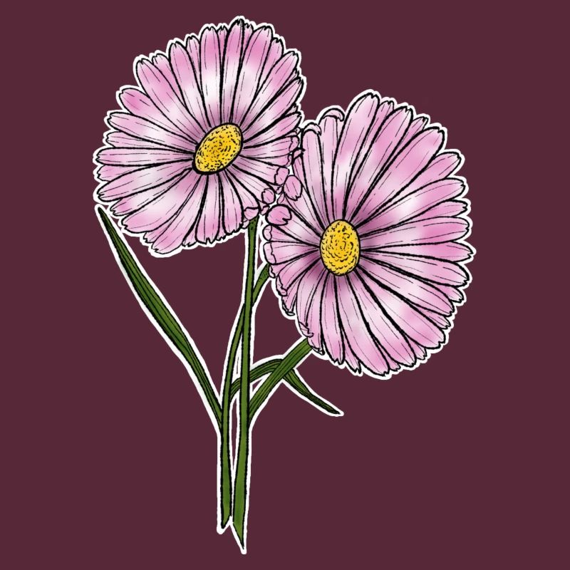 Gänseblümchen
