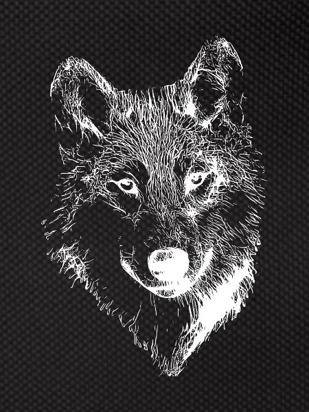 White Wolf drawing