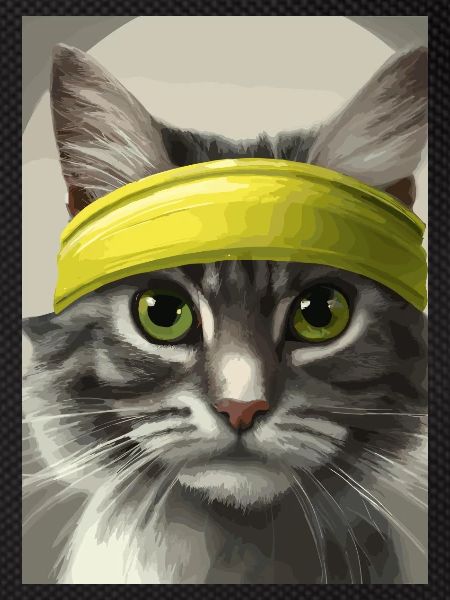 Tennis-Katze