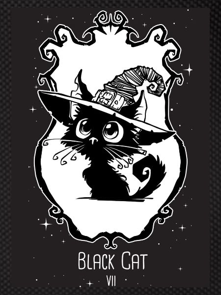 Black cat oracle