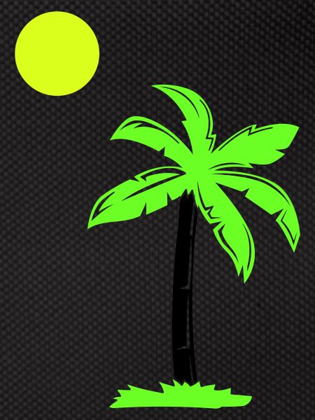 palm tree