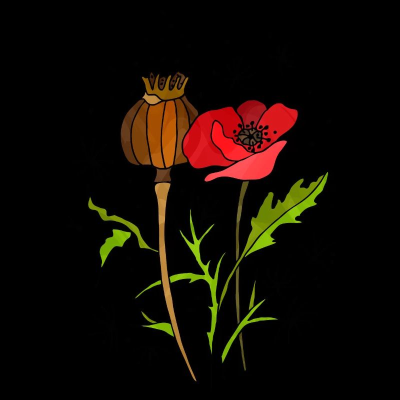 Blume