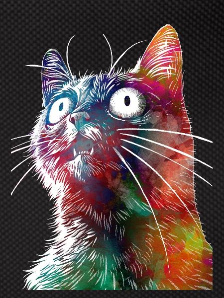 Funny cat2