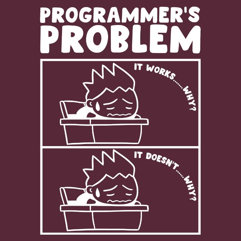 Programmers Problem Programmeur Informaticien