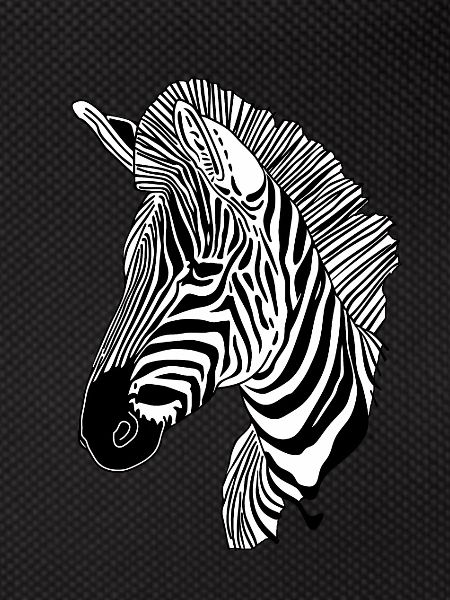 Lines art zebra #zebra