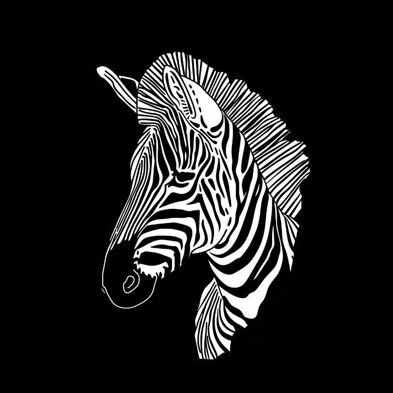 Linien Kunst Zebra #zebra