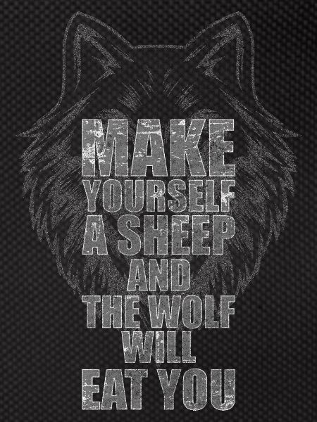 Wolves Dog Grey Wolf