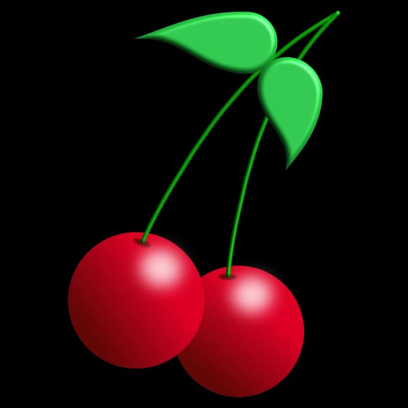Twin cherries with leaves