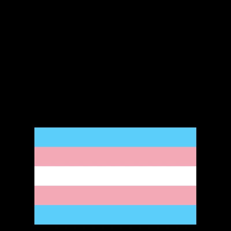 Posez-moi des questions sur mes pronoms Trans Pride Flag