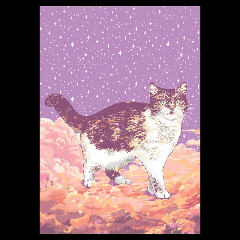 CLOUD CAT