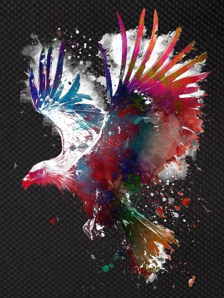 Bird eagle