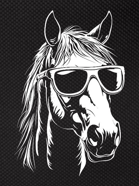 Horse Sunglasses