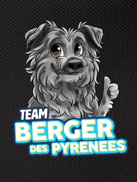 TEAM Pyrenäen-Schäferhund - Harlekin