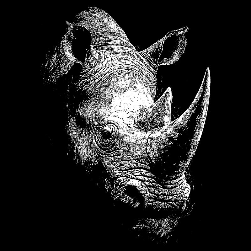 Rhinoceros