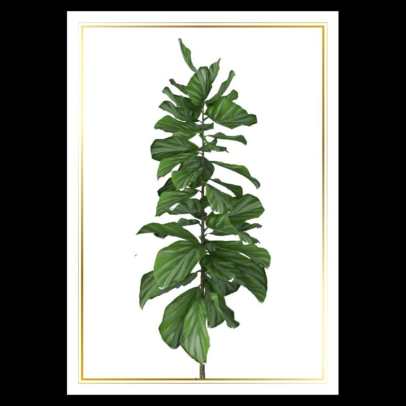 Green plant in gold frame
