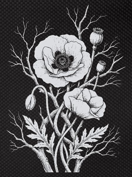 Mohnblumen
