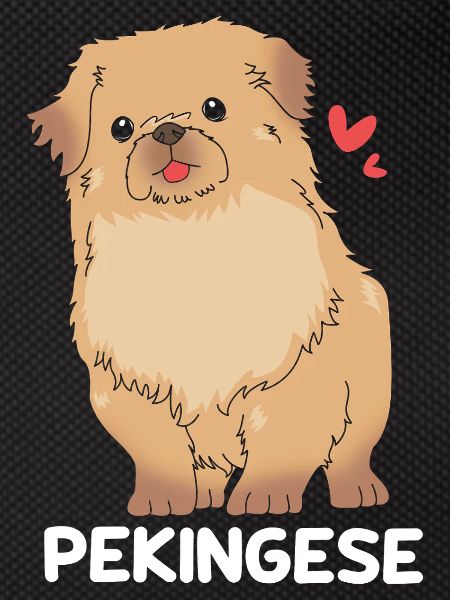 Pekinese
