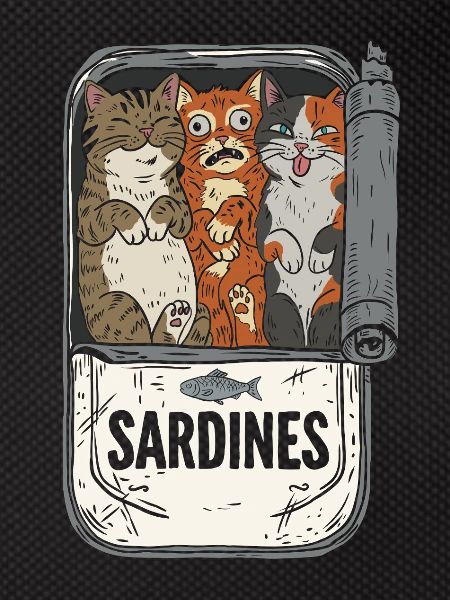 Kittens in a sardine can