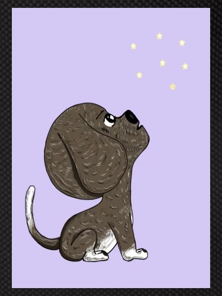 Dog and starry sky