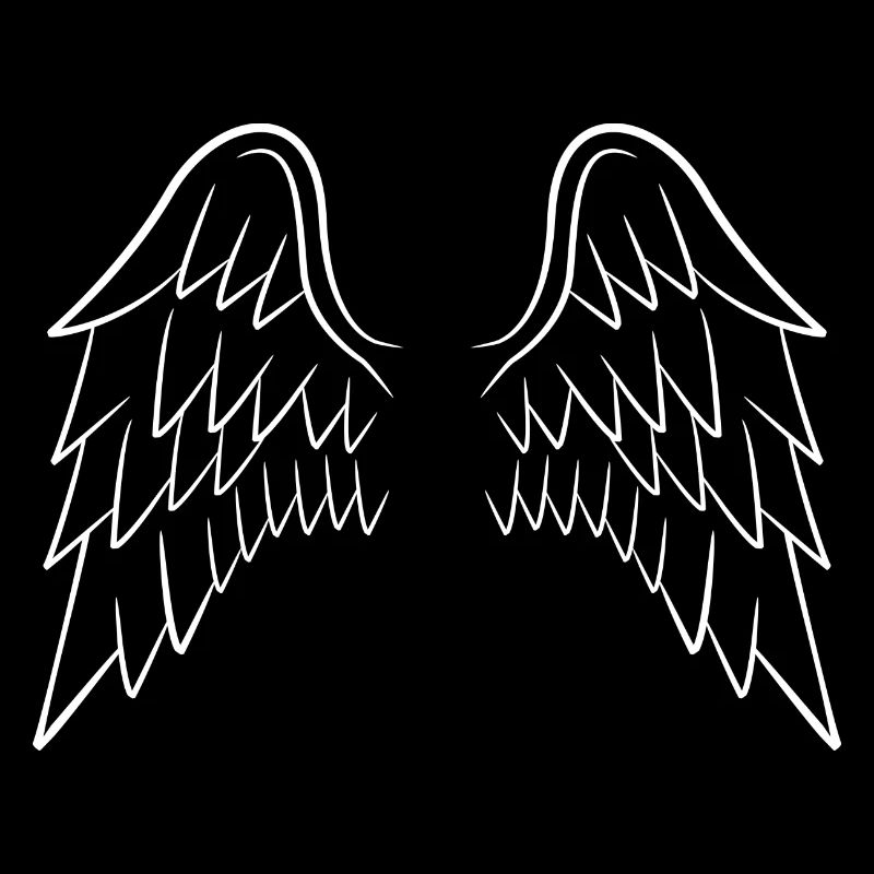 Les ailes de l’ange blanc