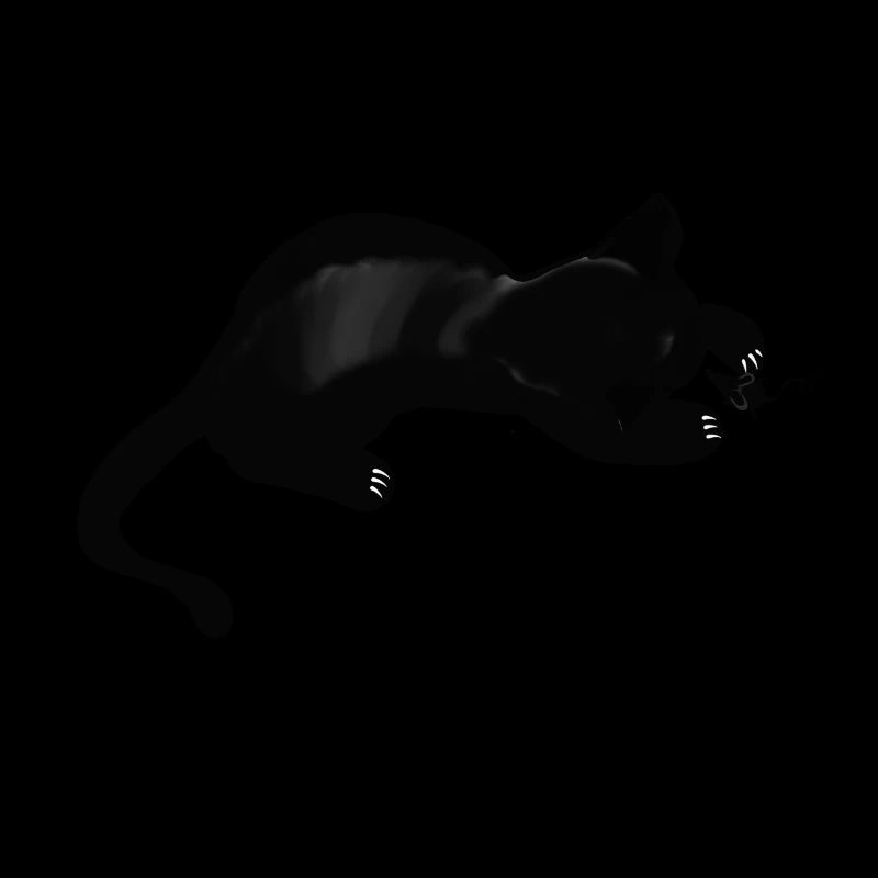 Katze