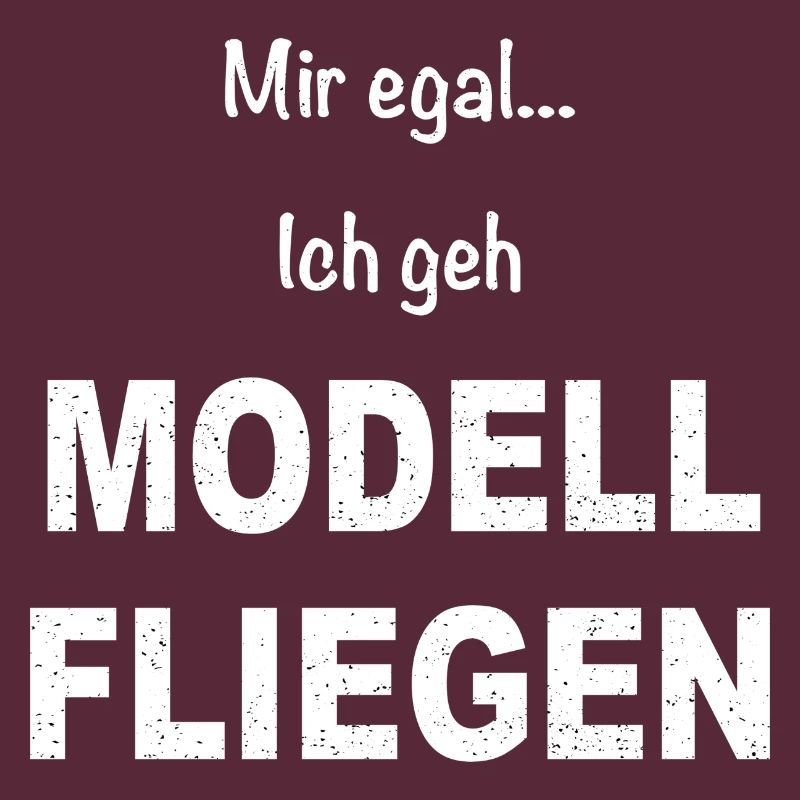 Modellflug Pilot Modellbau Flugzeug Modellbauer