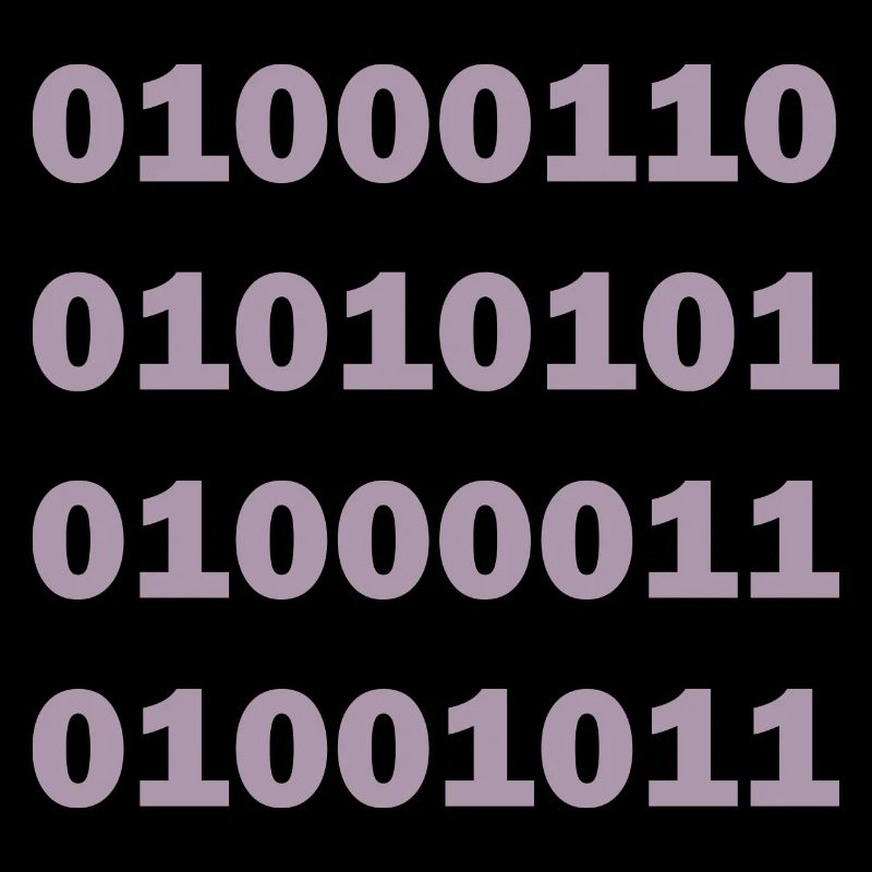 Binary Code Fuck