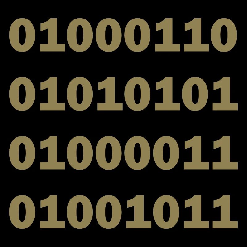 Binary Code Fuck