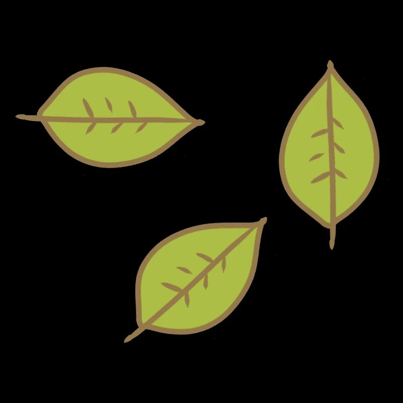 Feuille verte Trois feuilles symbole forme nature