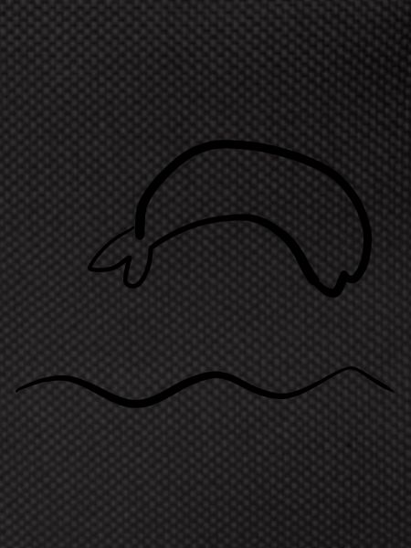 dolphin water