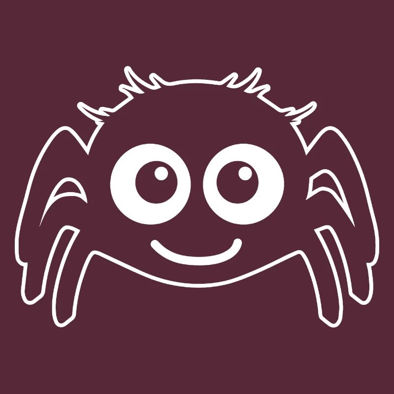 Spider spiders animals