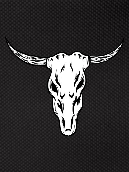 Ox Skull