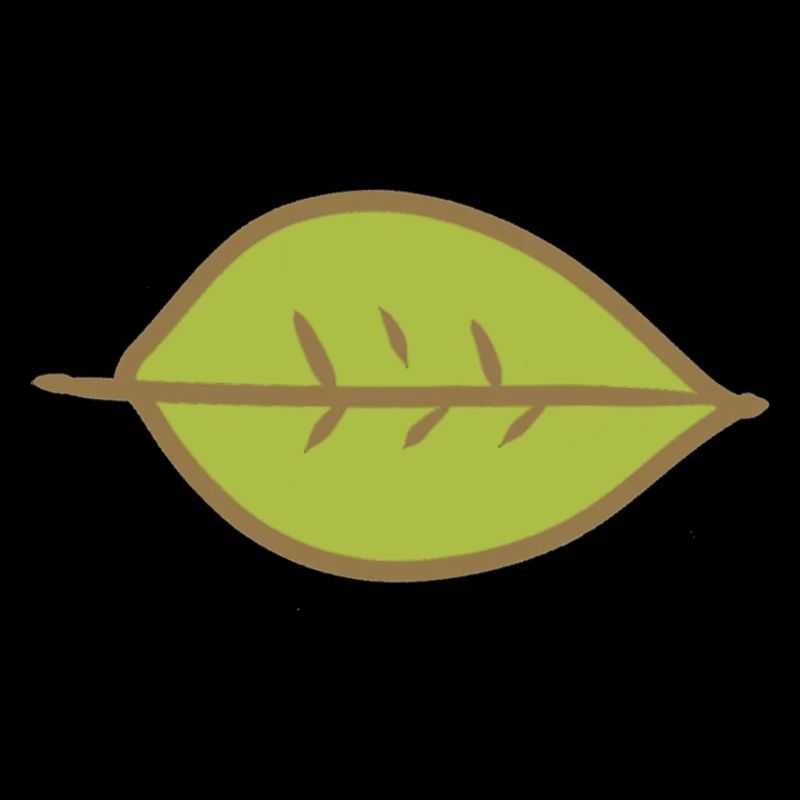 Leaf Green Shape Nature