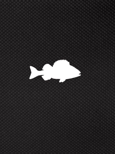 Perch white