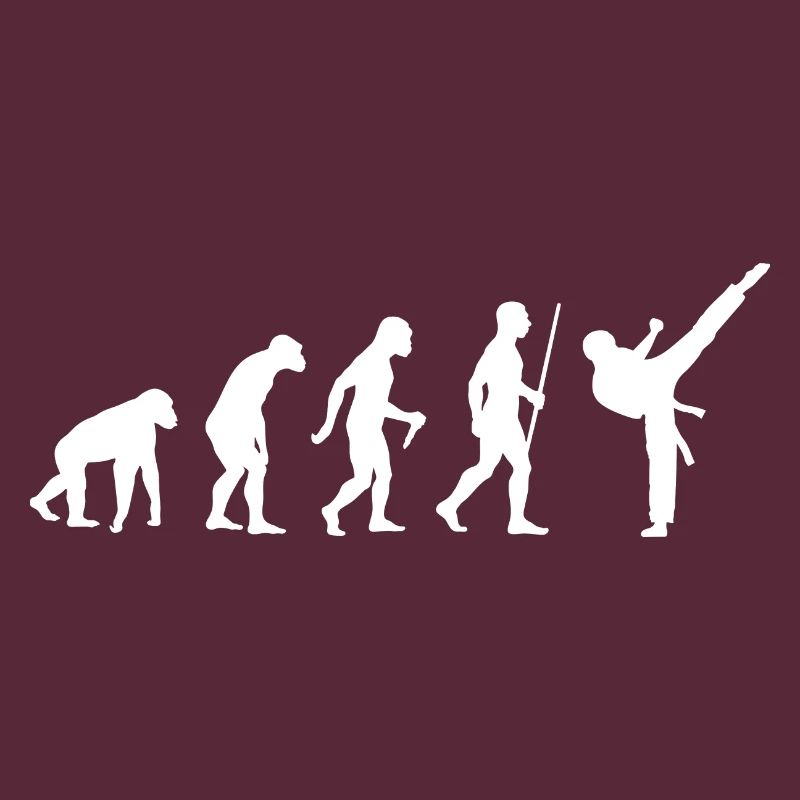 Martial Arts Karate Evolution Gift Idea 005-096