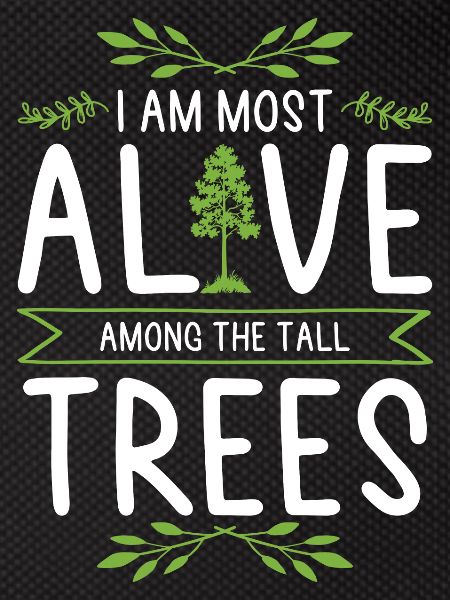 Nature tree trees