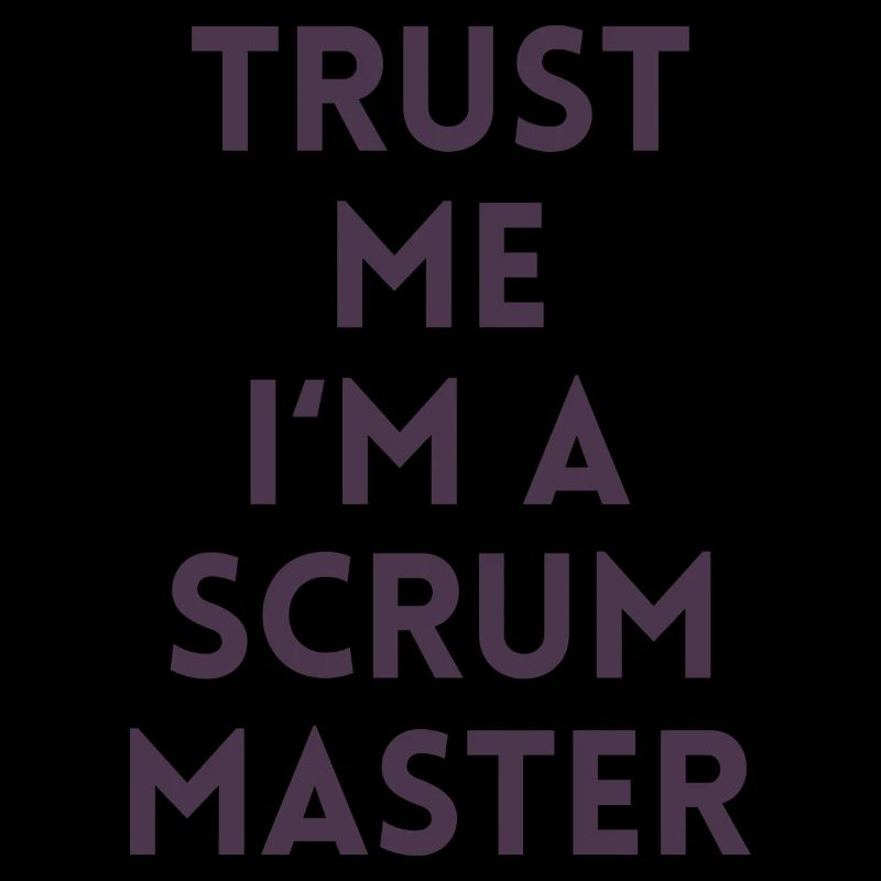 Trust me I’m a scrum master cadeau code ordinateur