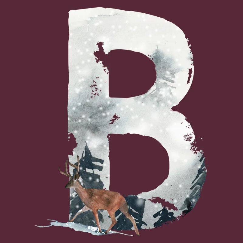 B – decorative character – winter