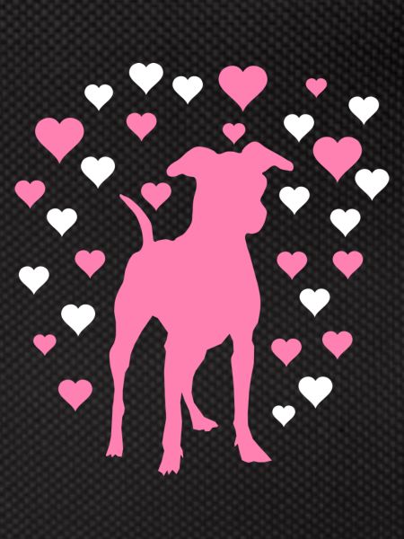 Pinscher