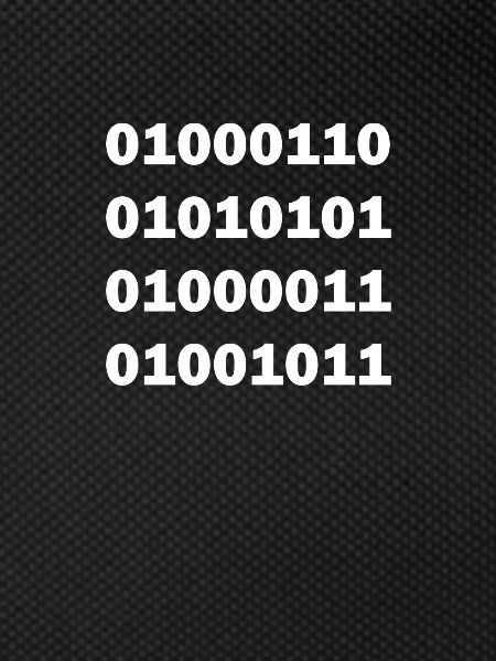 Binary code fuck