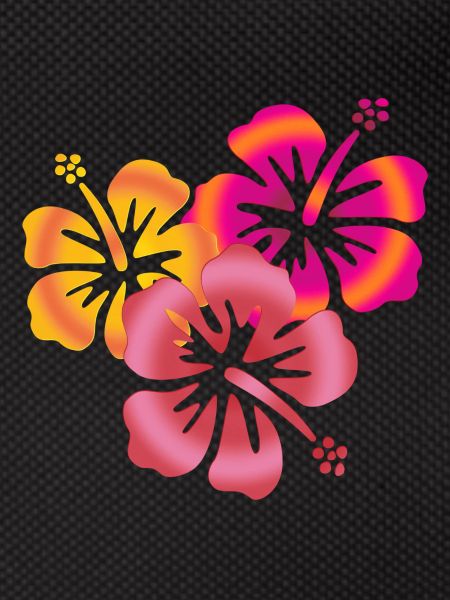 BALI Hibiscus flowers