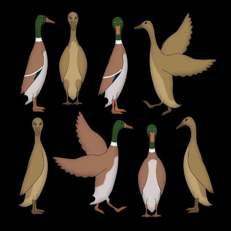 Sélection de canard en cours d’exécution