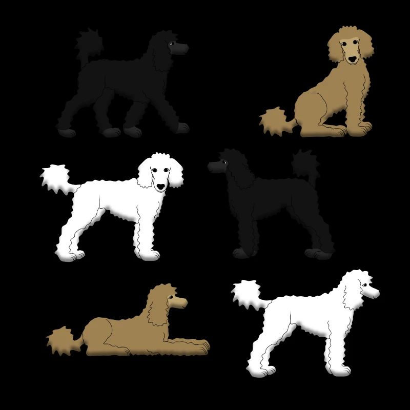 Sélection de caniche