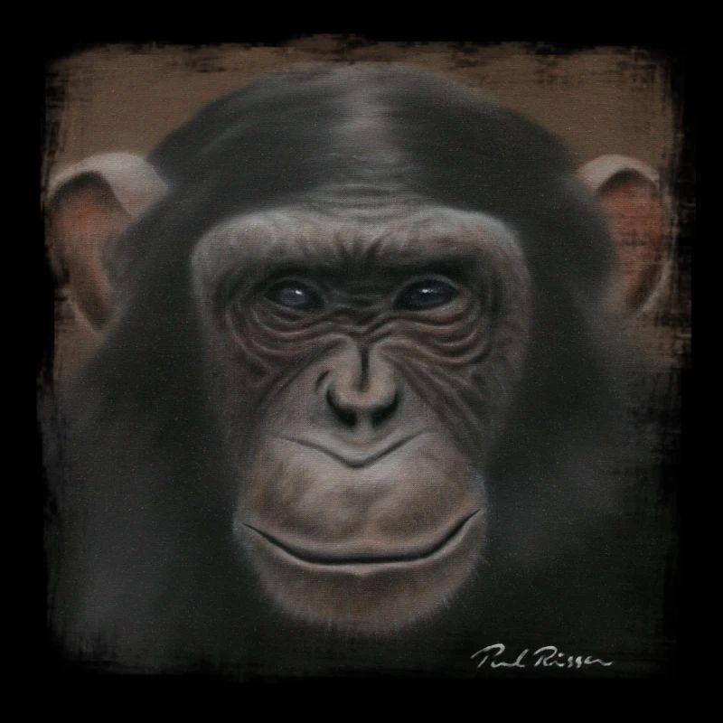 Chimpanzé