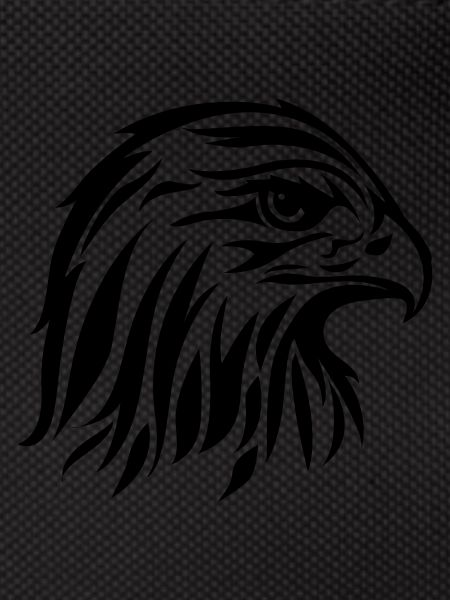 eagle02