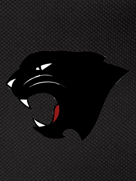 Panther