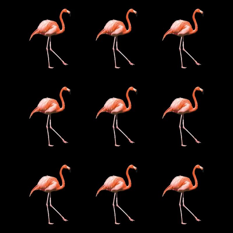 Flamingo Parade
